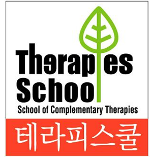 Therapy School